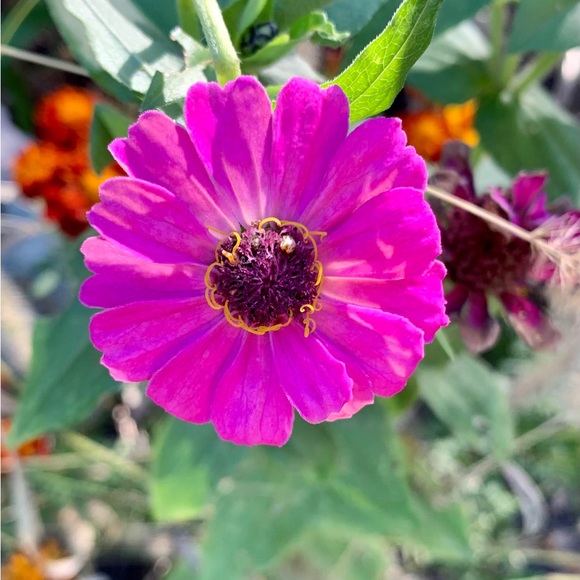 🌸 Bundle & Save 🌸 - Picture 7 of 16